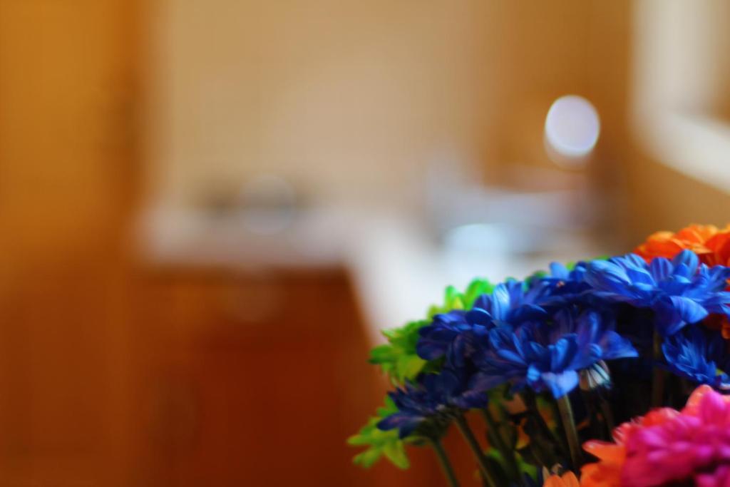 コシチェリスコ Zakatek Pod Smrekami Bed & Breakfast 部屋 写真